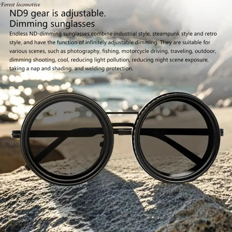 Polarized Steampunk Shades